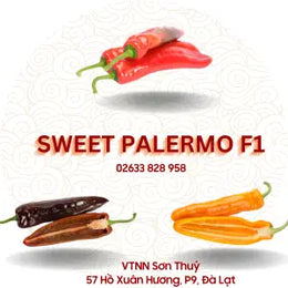 Hạt giống Ớt sừng ngọt Sweet Palemo - Rijk Zwaan