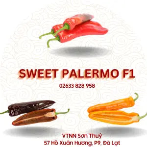 Hạt giống Ớt sừng ngọt Sweet Palemo - Rijk Zwaan