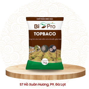 Chế phẩm vi sinh phòng nấm - Topbaco Dalat Hasfarm