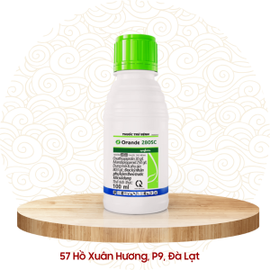 Thuốc trừ bệnh - Syngenta Orande 280SC