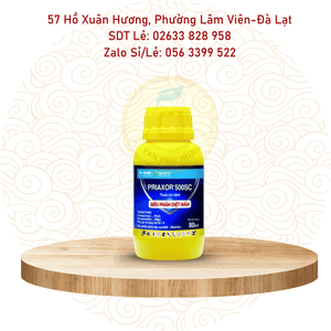 Thuốc trừ bệnh- D-Basf Priaxor 500SC