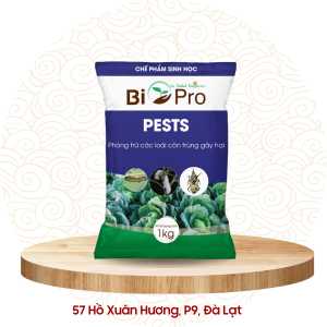 Chế phẩm vi sinh kiểm soát tuyến trùng và côn trùng - PESTS Dalat Hasfarm
