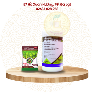 Thuốc trừ bệnh - Sundat Best Harvest 15SC