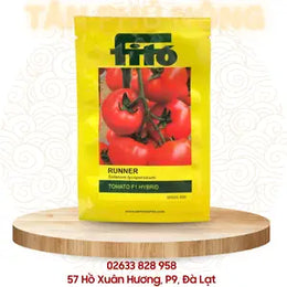 Hạt giống Cà chua Runner - Fitto