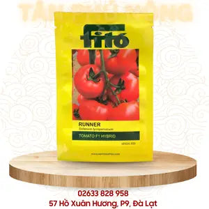 Hạt giống Cà chua Runner - Fitto