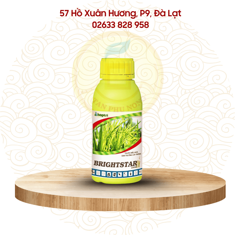 Thuốc điều hòa sinh trưởng- Hợp Trí Brightstar 25SC