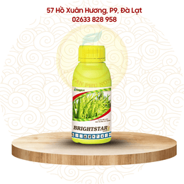 Thuốc điều hòa sinh trưởng- Hợp Trí Brightstar 25SC