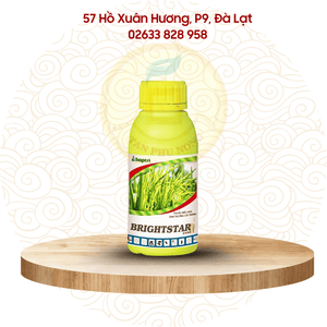 Thuốc điều hòa sinh trưởng- Hợp Trí Brightstar 25SC