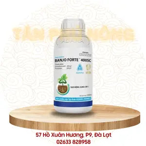 Thuốc trừ bệnh - Adama Banjo Forte 400SC