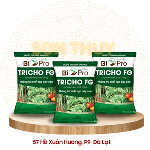 Chế phẩm vi sinh phòng nấm - Tricho HF Dalat Hasfarm