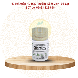 Loang trải thẩm thấu Guard Pro 20ml