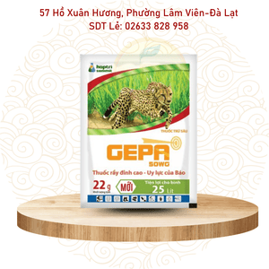 Thuốc trừ rầy Hợp Trí GEPA 50WG